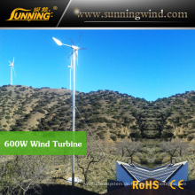 China Camping Wind Turbine Generator für Wind Solar Power System (MAX 600W)